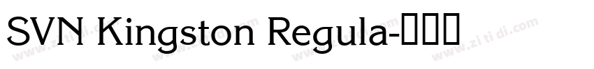 SVN Kingston Regula字体转换